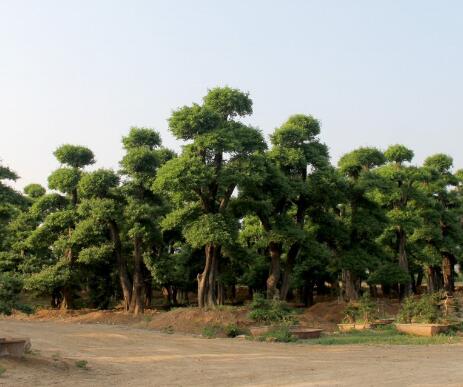 基地實(shí)景